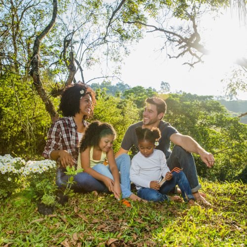 Famiia en dia de campo Prevenir Superior